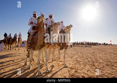 Tunesien, Douz, Sahara, internationales Festival der Sahara in Douz, Beduinen mit Dromedaren Stockfoto