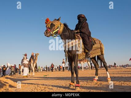 Tunesien, Douz, Sahara, internationales Festival der Sahara in Douz, traditionelle Equestrian zeigt Fantasia Stockfoto