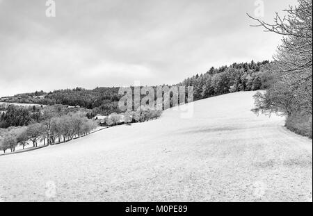 Ländlichen idyllischen monochrome Winter Landschaft Landschaft Szene über ein Schneefeld mit Hill, Himmel, Wolken, Bäume, Wald, Straßen und Tracks Stockfoto