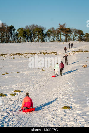 Familie mit Eltern, Kindern und Hunden bergauf auf schneebedeckten Pfad mit Schlitten im Sonnenschein, Strathclyde, Schottland, Großbritannien Stockfoto