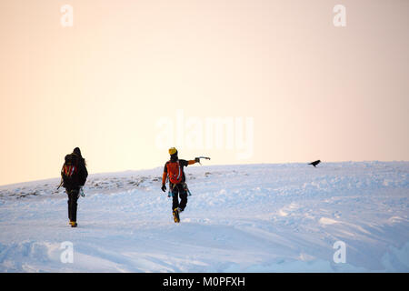 Ein paar Bergsteiger auf dem Gipfel des Helvellyn, Lake District, UK, mit einem Raven. Stockfoto