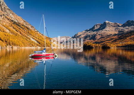 Herbst Laub Farbe in der Lärchen und ein Segelboot in See Sils im Engadin, Graubuden, Schweiz, Europa wider. Stockfoto