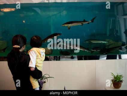 Nordkoreanische Mutter zeigen, Störe zu ihrer Tochter in ein luxuriöses Restaurant, Pyongan Provinz, Pyongyang, Nordkorea Stockfoto