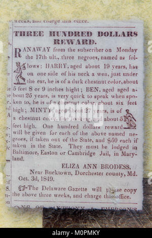 Zeitung Anzeige für fehlende Slaves einschließlich Harriet Tubman (MINZIG), auf der Anzeige in der Nähe von Harriet Tubman's Geburtsort, MD, USA. Stockfoto