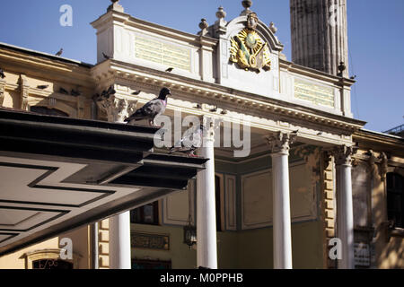 Tauben in Tesvikiye Moschee. Es ist eine neo-barocken Struktur in Tesvikiye/Nisantasi Viertel von Istanbul. Texte aus dem Koran und Osmanischen Reich's em Stockfoto