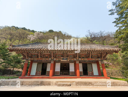 Pohyon-sa koreanischen buddhistischen Tempel, Hyangsan Myohyang Grafschaft, Mount, Nordkorea Stockfoto