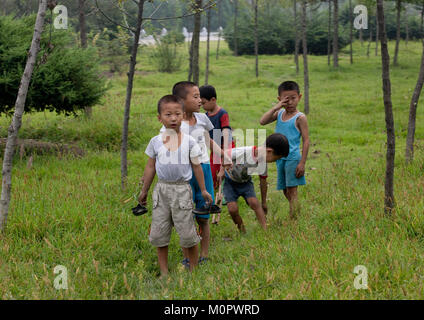 Nordkoreanische skinny Jungs, in einem Park, Pyongan Provinz, Pyongyang, Nordkorea Stockfoto