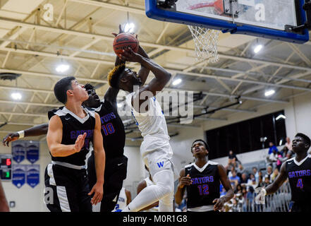 Wellington, Florida, USA. 23 Jan, 2018. Wellington vorwärts Texan Molton (3) Versuche einen Korb, während Sie von Palm Beach Gardens guard Armani Hayes (10) und Palm Beach Gardens vorwärts Nickson Toussaint (14) Während das Basketballspiel zwischen Wellington und Palm Beach Gardens in Wellington, FL, am Dienstag, 23. Januar 2018 bewacht. Quelle: Andres Leiva/der Palm Beach Post/ZUMA Draht/Alamy leben Nachrichten Stockfoto