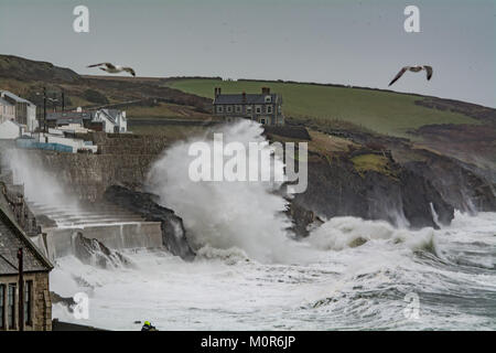 Camborne, Cornwall, England. 24 Jan, 2018. UK Wetter. Starke Winde und Wellen Teig der Cornish Coast in Camborne, als Sturm Georgina Hits im Vereinigten Königreich, in: Simon Maycock/Alamy leben Nachrichten Stockfoto