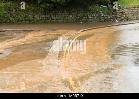 Cornwall, UK. 24 Jan, 2018. Schwere Regenfaelle haben beschränkte überschwemmung in Teilen von Cornwall verursacht. Die sintflutartigen Regenfälle läuft wie ein Fluss hinunter einen Cornish Road und nasser Witterung ist für den Rest der Woche prognostiziert. Credit: Jennifer Jordan/Alamy leben Nachrichten Stockfoto