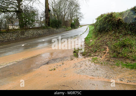 Cornwall, UK. 24 Jan, 2018. Schwere Regenfaelle haben beschränkte überschwemmung in Teilen von Cornwall verursacht. Die sintflutartigen Regenfälle läuft wie ein Fluss hinunter einen Cornish Road und nasser Witterung ist für den Rest der Woche prognostiziert. Credit: Jennifer Jordan/Alamy leben Nachrichten Stockfoto