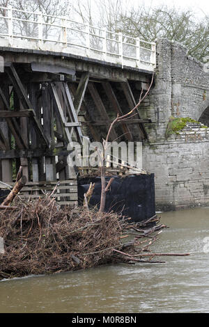 Whitney-on-Wye, Herefordshire, UK-Mittwoch, 24. Januar 2018 - Regen fällt auf, wo der Fluss Wye River Niveaus hoch sind - grosse Mengen von gebrochenen Baum Ablagerungen sind bereits aus weiter stromaufwärts in Wales gewaschen und jetzt gegen die Säulen der alten Toll Bridge bei Whitney-on-Wye - Foto Steven Mai/Alamy Leben Nachrichten Blocklagerung Stockfoto