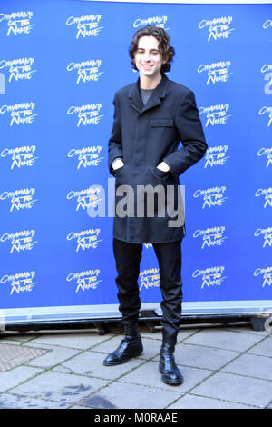 Rom, Italien, 24. Januar 2018 Hotel de Russie - Photocall film Präsentation Chiamami Col Tuo Nome, Timothée Chalamet in der Rolle von Elio Credit: Giuseppe Andidero/Alamy leben Nachrichten Stockfoto