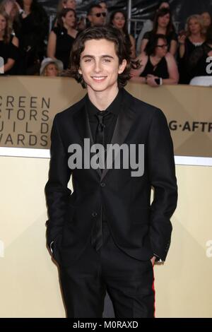 LOS ANGELES - Jan 21: Timothee Chalamet am 24. Screen Actors Guild Awards - Drücken Sie die Zimmer im Shrine Auditorium am 21. Januar 2018 in Los Angeles, CA bei der Ankunft für 24. jährlichen Screen Actors Guild Awards - Ankünfte 6, Shrine Auditorium, Los Angeles, CA 21. Januar 2018. Foto von: Priscilla Grant/Everett Collection Stockfoto