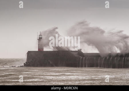 Newhaven, East Sussex, Großbritannien. Januar 2018. Wetter in Großbritannien. Starker Wind und reißender Regen an der Südküste. Die Wellen schlagen den Westarm und den Leuchtturm in den Pfennig. Stockfoto