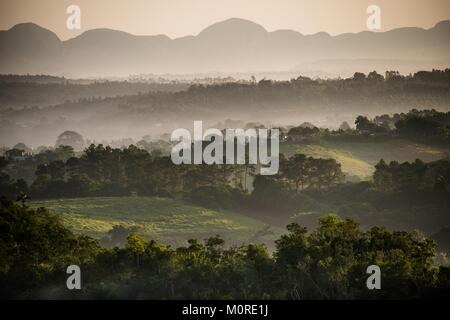 Blick über das Tal von Vinales in Kuba. Morgen in der Dämmerung und Nebel. Nebel im Morgengrauen im Tal von Vinales in Pinar del Rio, Stockfoto