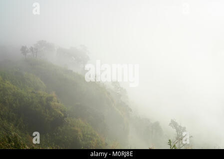Nebelig mystische Blick auf den Wald, in den Bergen. Stockfoto