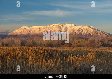 Der malerischen Mount Timpanogos bei Sonnenuntergang von Provo Utah Stockfoto