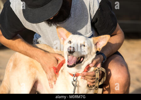 Dubai, VAE - 27.Oktober 2017: Hund und eine Person für einen Spaziergang in der Wüste bei Sonnenuntergang. Stockfoto