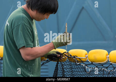 Usa, Washington, Seattle, Fischer- Terminal, amn Nähen schwimmt mit Net Stockfoto