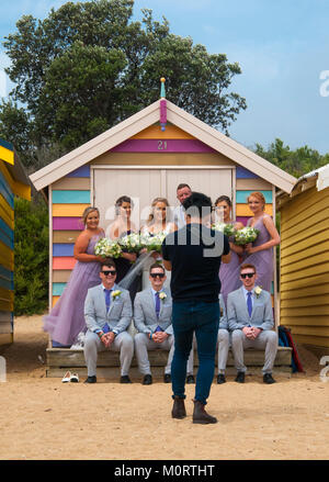 Hochzeit Party im baden Kästen auf der Dendy Street Beach an der Brighton posiert auf Port Phillip Bay, Melbourne, Australien Stockfoto