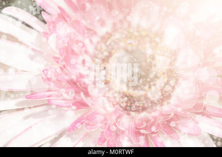Weich von Gerbera Blumen mit weichen Bokeh in Pastell Ton für den Hintergrund unscharf. Stockfoto