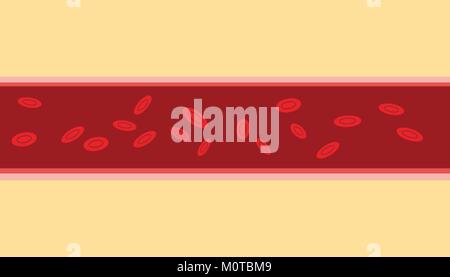 Normale menschliche Blut Vene Zelle Stream fließen mit flacher Stil Stock Vektor