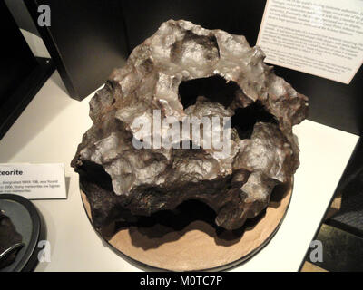 Der Canyon Diablo Meteorit, der um 1900 aus dem Barringer Meteoritenkrater in Arizona gesammelt wurde, ist im Springfield Science Museum in Springfield, Massachusetts, ausgestellt. Dieser Meteorit ist Teil der Geschichte der Meteoriten-Einschlagstellen. Stockfoto