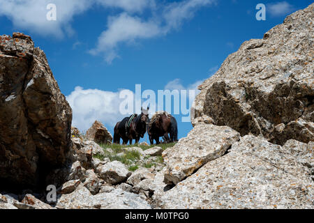 Köl-Suu kurumduk Tal, See, Provinz Naryn, Kirgisistan, Zentralasien Stockfoto