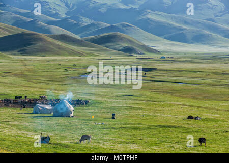 Nomad Jurtencamp, Song Kol See, Provinz Naryn, Kirgisistan, Zentralasien Stockfoto