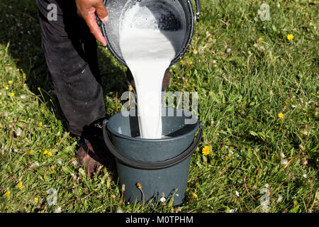 Kirgisische Frau gießen Stutenmilch in einem Eimer, Song Kol See, Provinz Naryn, Kirgisistan, Zentralasien Stockfoto