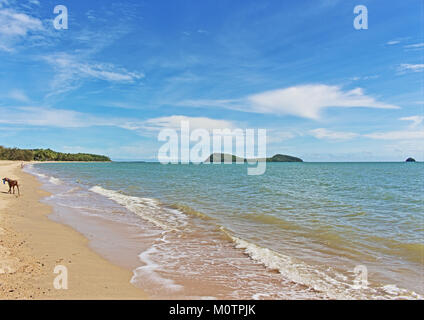 Clifton Beach, Palm Cove ist einfach eines der Besten, nicht überfüllt, und malerischen Sandstrand erstreckt sich der Hund für einen Spaziergang an jedem Tag des Jahres Stockfoto