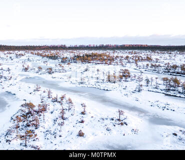 Luftaufnahme von einer kalten und schneereichen Winter Morning Sunrise in Endla Moor. Enda, Estland. Stockfoto