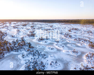 Luftaufnahme von einer kalten und schneereichen Winter Morning Sunrise in Endla Moor. Enda, Estland. Stockfoto