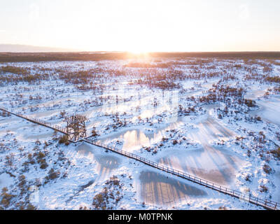 Luftaufnahme von einer kalten und schneereichen Winter Morning Sunrise in Endla Moor. Enda, Estland. Stockfoto