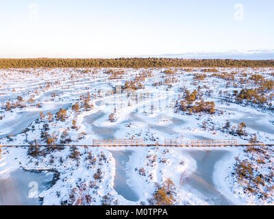 Luftaufnahme von einer kalten und schneereichen Winter Morning Sunrise in Endla Moor. Enda, Estland. Stockfoto