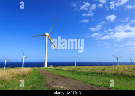 Windmühlen für die Stromerzeugung in North Kohala, Hawaii. Stockfoto