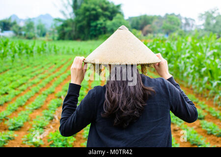 Asiatische Frau mit konischen bamboo Hut zu Fuß in das Feld Stockfoto