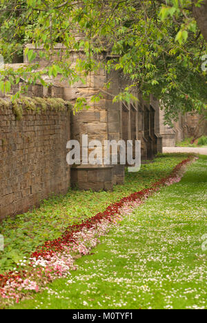 Wand aus Gründen der Auckland Castle, Bishop Auckland, County Durham Stockfoto