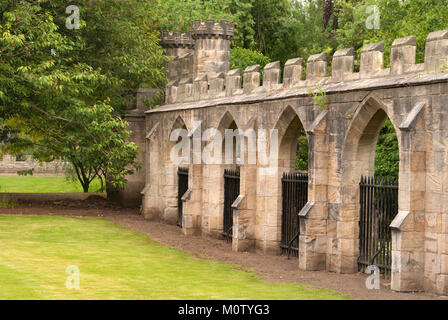 Wand aus Gründen der Auckland Castle, Bishop Auckland, County Durham Stockfoto