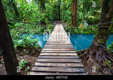 Übergabe Brücke im grünen Dschungel, Costa Rica, Mittelamerika Stockfoto