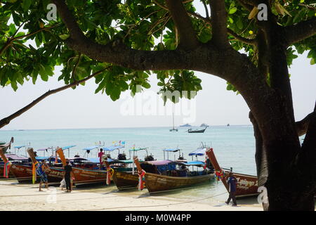 Longtailboats am Ufer auf den unberührten weißen Sandstrand und turqouise Gewässern von Koh Phi Phi Don mit einer üppigen grünen Baum im Fokus vor Ihnen. Stockfoto