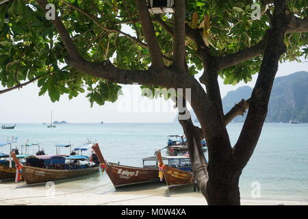 Longtailboats am Ufer auf den unberührten weißen Sandstrand und turqouise Gewässern von Koh Phi Phi Don mit einer üppigen grünen Baum im Fokus vor Ihnen. Stockfoto