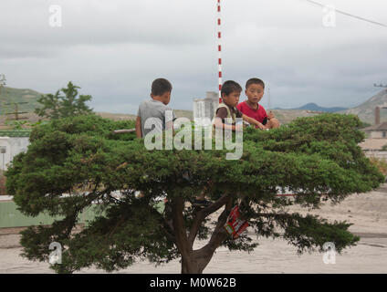 Nordkoreanischen Jungen spielen in einem Baum,Hwanghae Province, Kaesong, Nordkorea Stockfoto