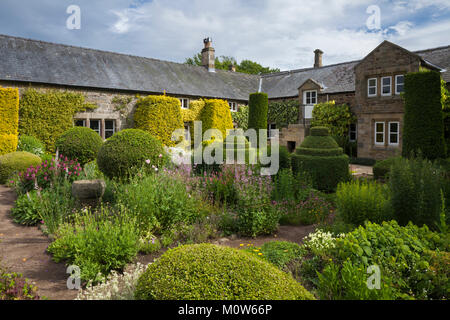 Bunte krautigen Pflanzen wachsen unter grünen Formschnitten und Eibe Absicherung innerhalb der Blumengarten von Herterton Haus in Northumberland, England. Stockfoto