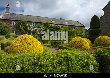 Die formalen Garten von Herterton Haus mit seinem Parterre und formgehölze mit der ehemaligen Tudor Langhaus im Hintergrund, Hartington, Northumberland, Großbritannien. Stockfoto