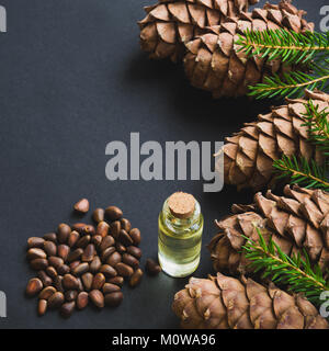 Cedar Cone, Niederlassungen und Zedernholz Öl auf schwarzem Hintergrund. Kopieren Sie Platz. Stockfoto