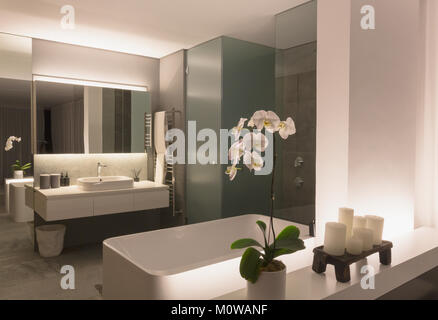 Moderne, luxuriöse Home Showcase Badezimmer Stockfoto