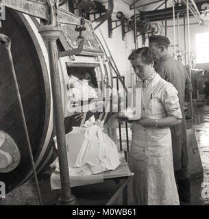 1950, historische, eine Arbeiterin prüft die Butter hergestellt aus einem großen zylindrischen Holz an einer kleinen Molkerei im südlichen Irland drum. Stockfoto