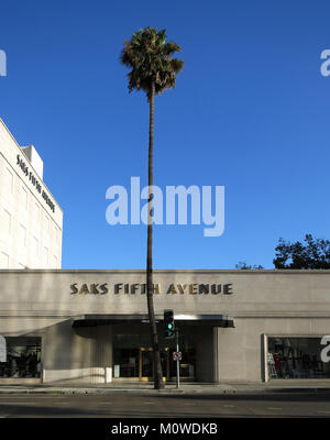 Palmen in Los Angeles, Kalifornien, USA Stockfoto